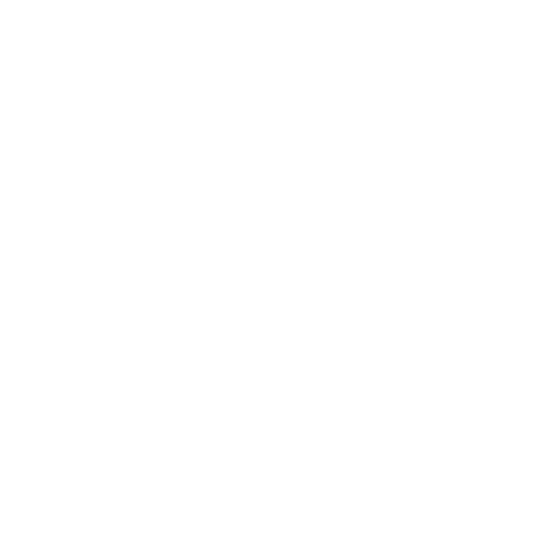 Logo Zawszesilny